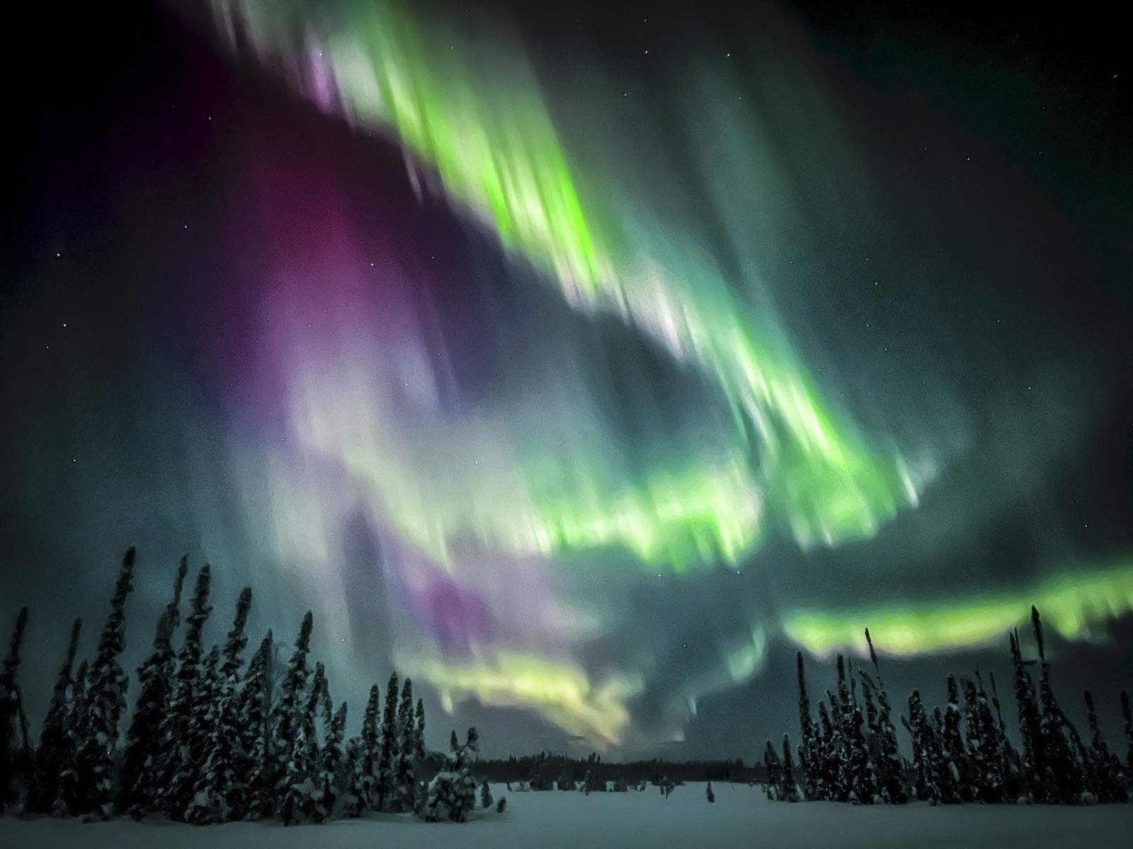 SunnyStroeer_Iditarod-5679
